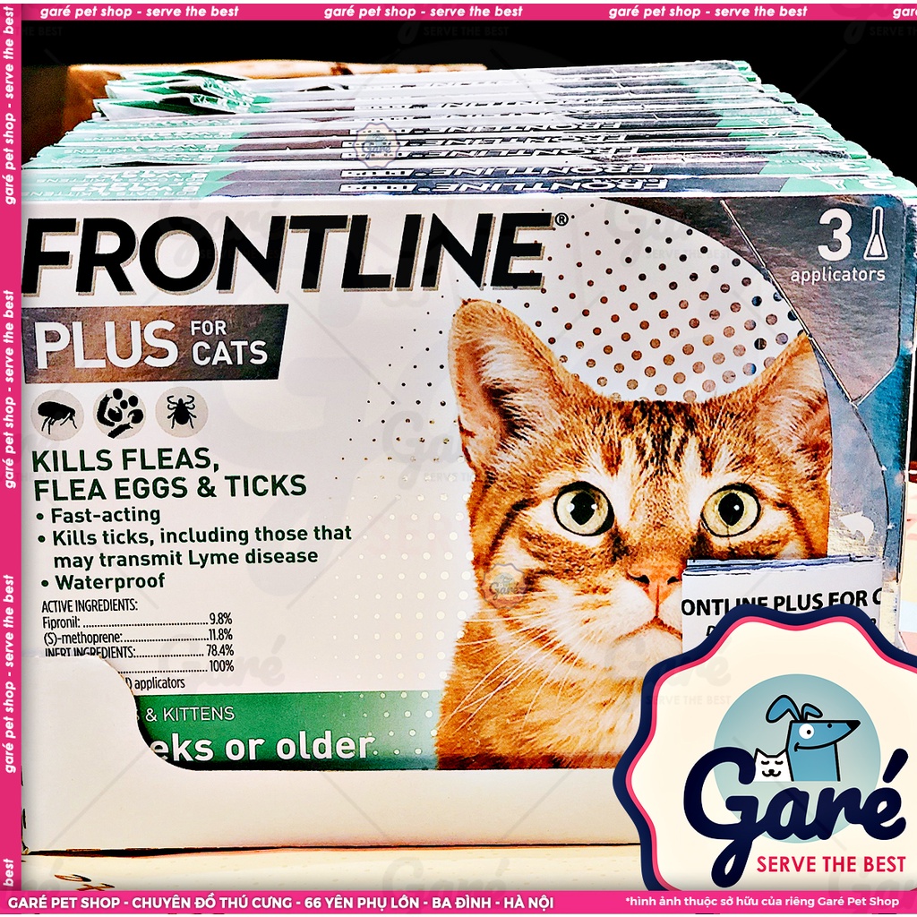 Nhỏ gáy Frontline Plus ngừa ve, rận tác dụng nhanh dành cho Mèo và Mèo con trên 8 tuần tuổi