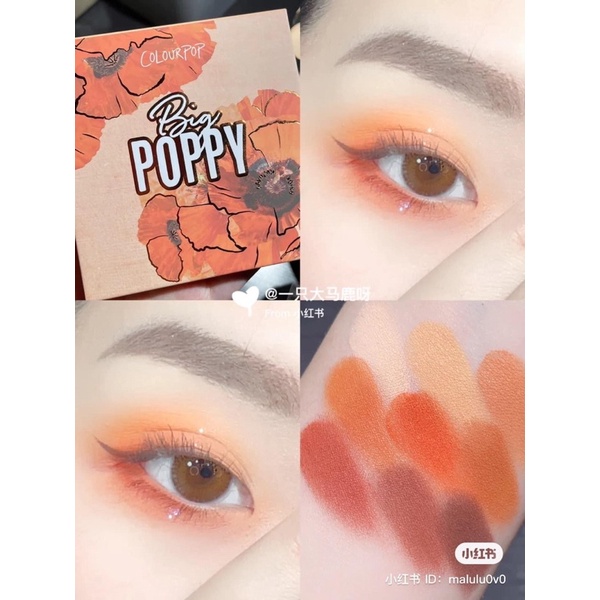 Bảng mắt Colorpop 9 ô bill usa