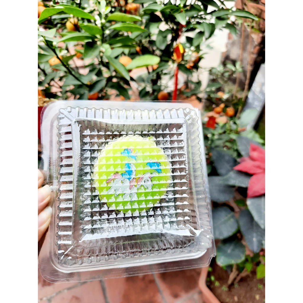 100 Hộp nhựa dùng 1 lần H05 | BigBuy360 - bigbuy360.vn