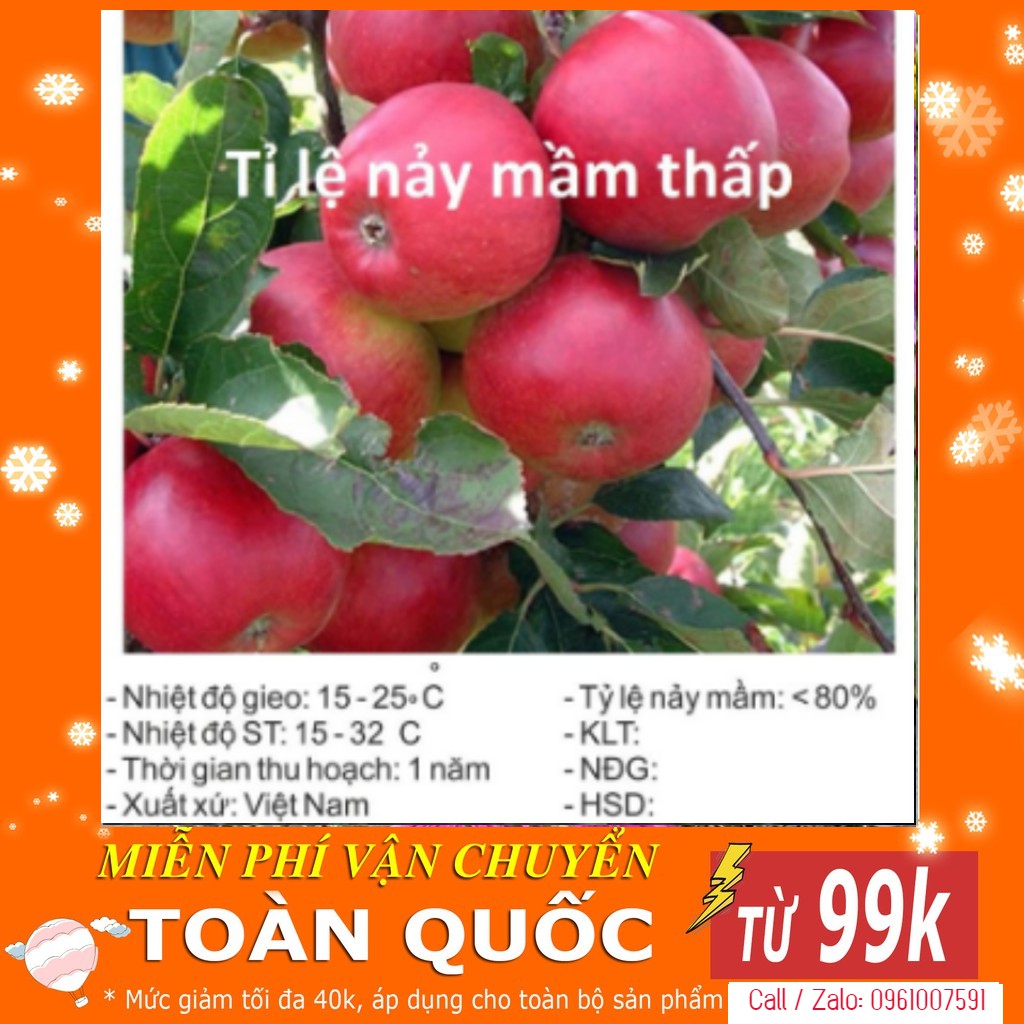 Hạt Giống Táo Đỏ Lùn - 10 Hạt [ Tặng Kèm 1 Viên Nén Xơ Dừa ]
