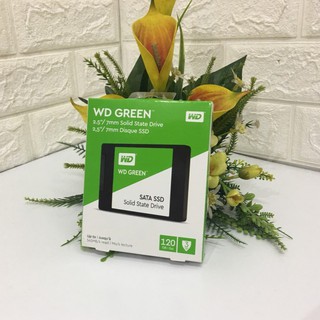 Ổ cứng SSD WD GREEN 120Gb SATA 2,5''- HÀNG CHÍNH HÃNG BẢO HÀNH 03 NĂM