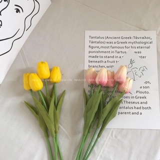 HOA TULIP SILICON DECOR