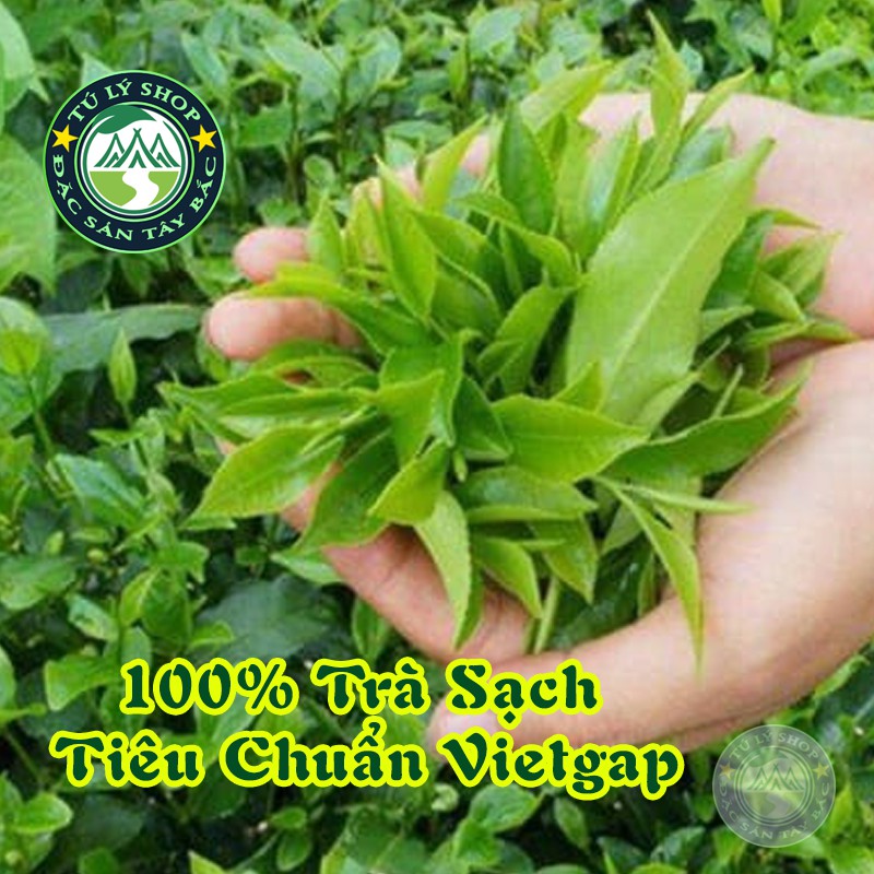 Chè Xanh Mộc Châu loại Đặc Biệt 100g - Đặc Sản Mộc Châu