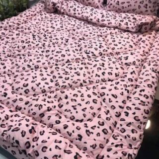 set chăn phao cotton poly