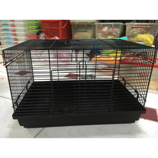 lồng size đại cho hamster nhím sóc
