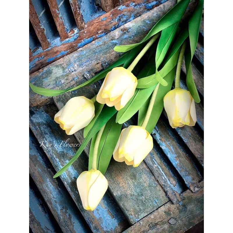 Khuôn cắt làm hoa tulip