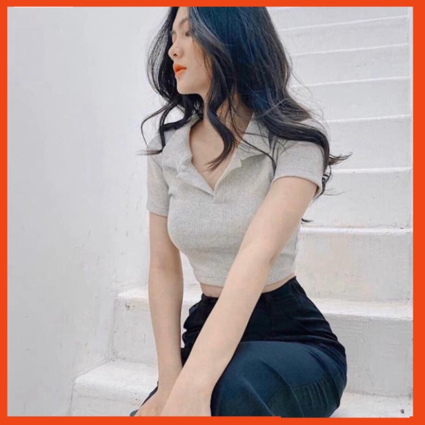 [Giá Xưởng] Áo Croptop Polo Cộc Tay Nữ , Cổ Bẻ Chất Thun Gân 3 Màu B003 Thời Trang | BigBuy360 - bigbuy360.vn