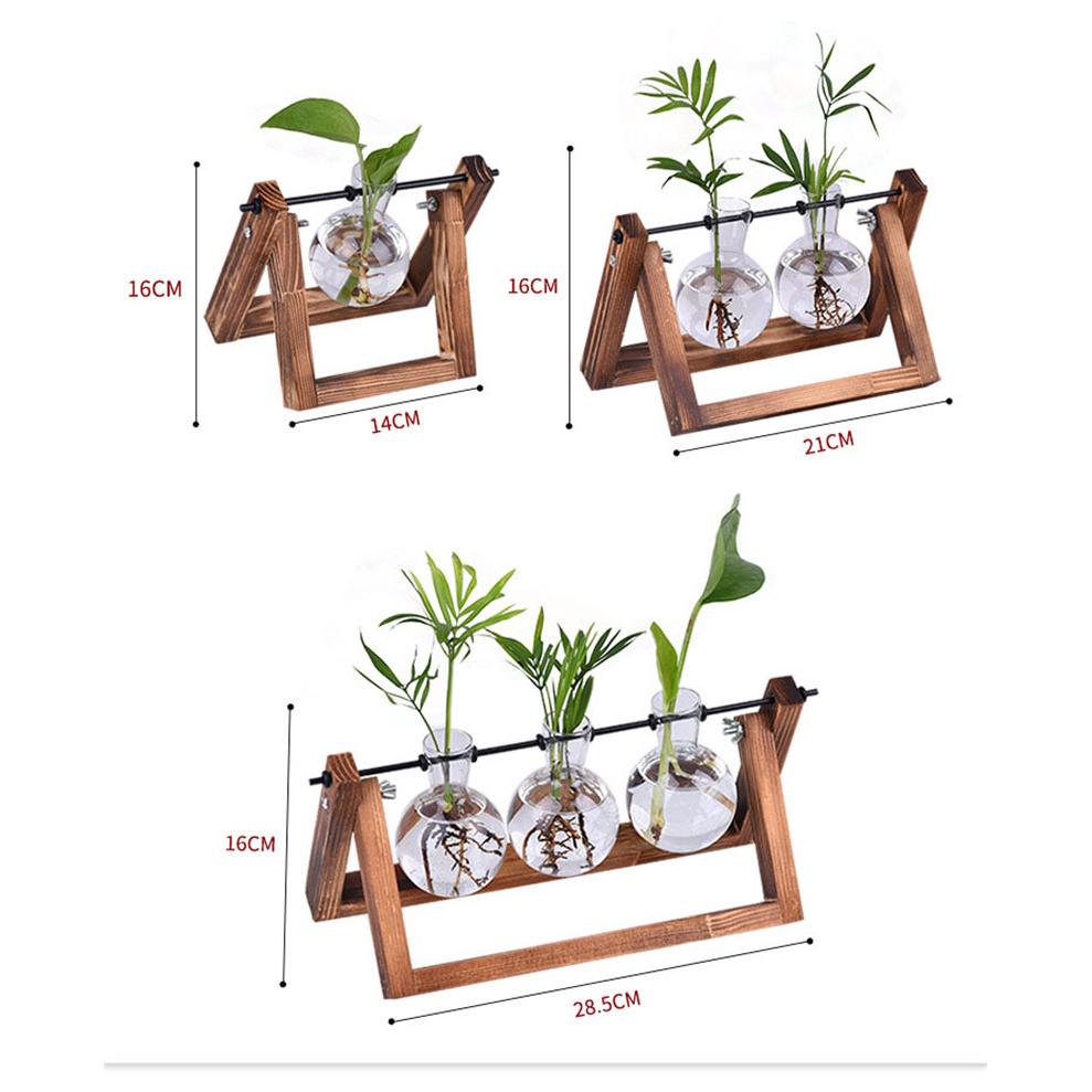 Chậu thủy tinh trồng cây kiểng