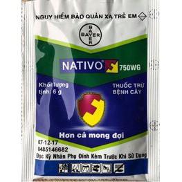 Thuốc trừ bệnh NATIVO 750WG (6g)