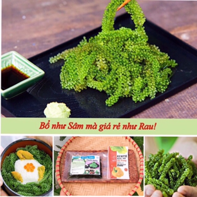 Rong nho tách nước gói 30gr. Nở ra gấp 3 lần rong nho tươi | BigBuy360 - bigbuy360.vn