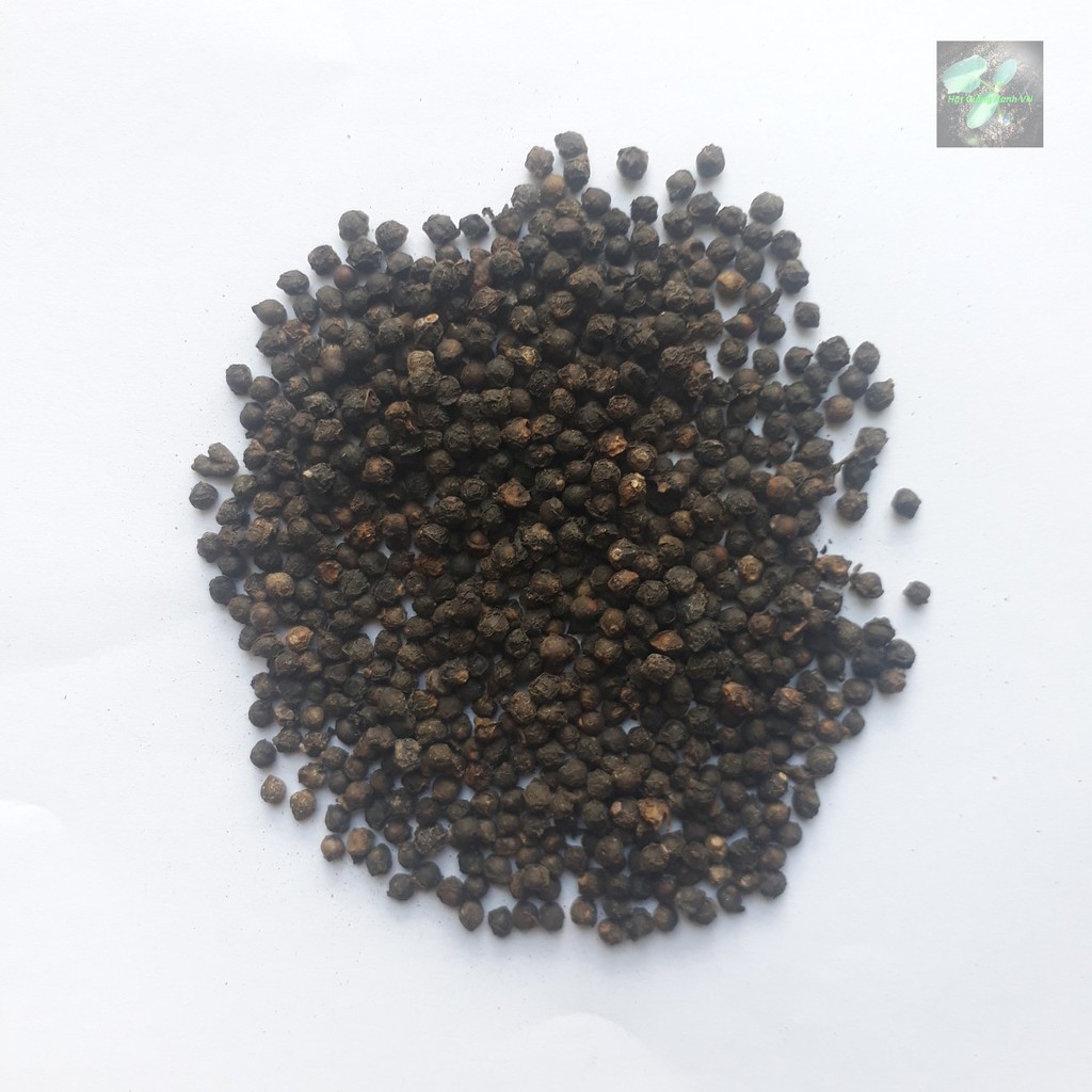 [Seeds] Hạt giống Rau Mồng tơi lá lớn, đóng gói 20gr