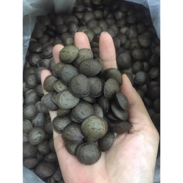 500g Hạt sachi Đak Lak rang sẵn chỉ việc ăn