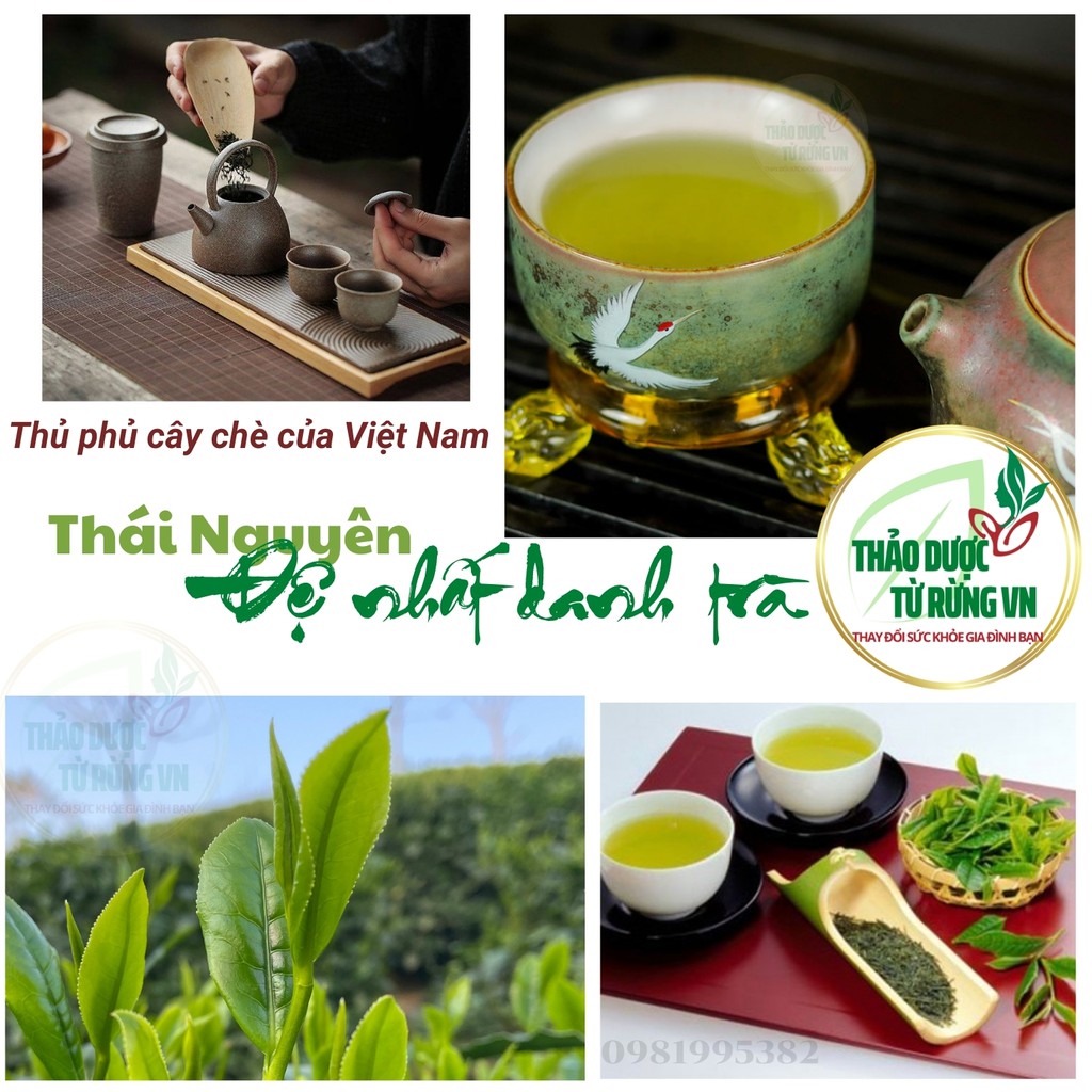 Trà Xanh Thái Nguyên Đệ Nhất Danh Trà 500G Xanh Sạch An Toàn 100% Gốc Chè Thái Nguyên Thảo Dược Từ Rừng VN