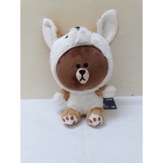 Gấu brown đội mũ cáo (ảnh thật)