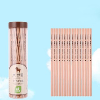 Bút chì gỗ 2B cao cấp - hộp 50 chiếc
