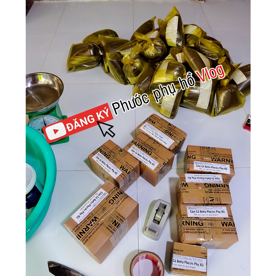 Cám cá betta phước phụ hồ | Chuyên dùng để kích lên màu cho cá betta