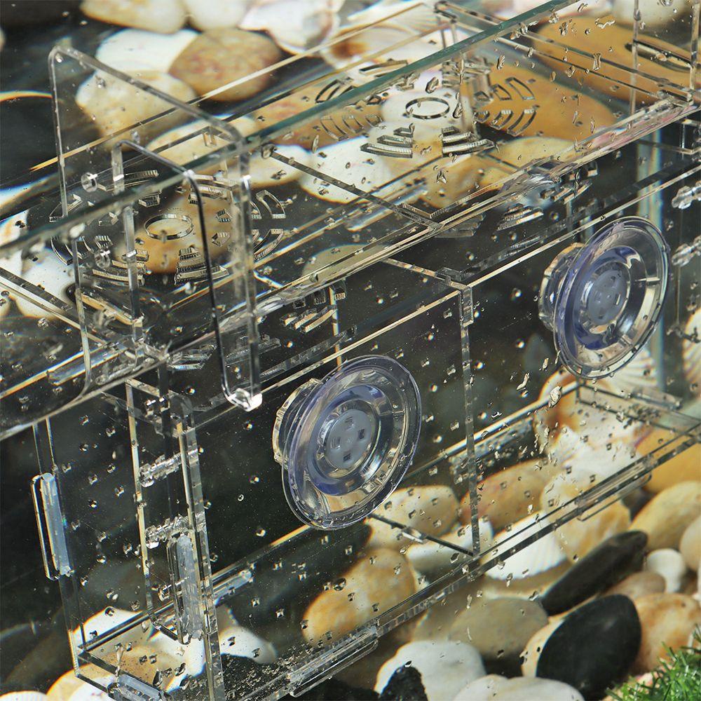 Hộp Cách Ly Ấp Trứng Cá DAPHS