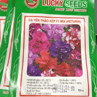 Hạt giống Dạ Yến Thảo mix CH 🌷