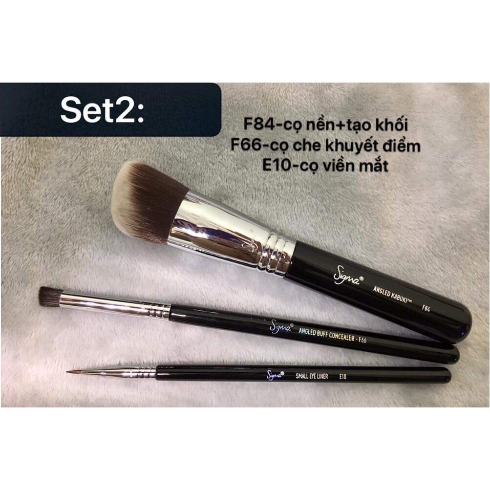 Thanh lý cọ Sigma chính hãng-giá rẻ nhất trong năm