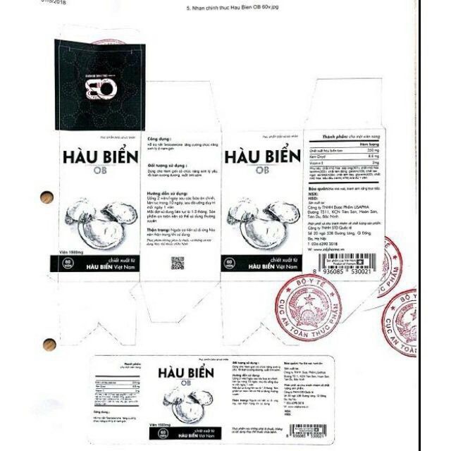 HÀU BIỂN OB (Cam kết chính hãng 100%) | BigBuy360 - bigbuy360.vn