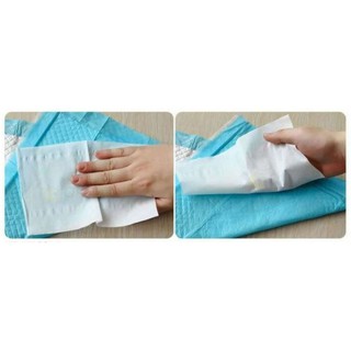 Tấm lót vệ sinh cho chó