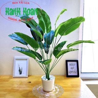 CÂY CHUỐI SINGAPORE 18 LÁ CAO 81 CM NHẬP KHẨU CAO CẤP - CÂY GIẢ DECOR