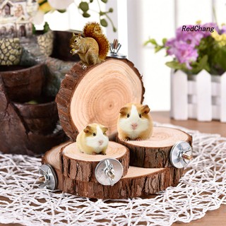 Bệ gỗ vui chơi cho chuột hamster