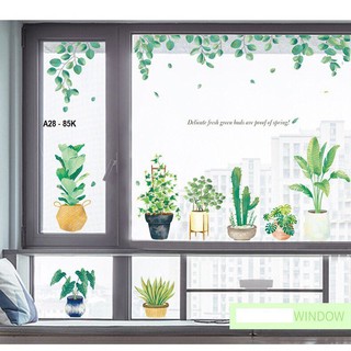 Decal dán tường Hàn Quốc mẫu chậu cây kết hợp hoa lá