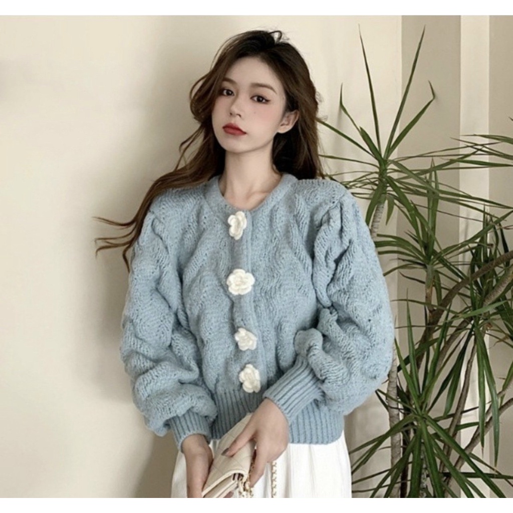 HCM. ÁO LEN NỮ CÚC HOA ,CỔ TRÒN TAY BỒNG NHẸ KIỂU DÁNG HÀN QUỐC XINH XẮN.HÀNG NHẬP QUẢNG CHÂU CHUẨN XỊN