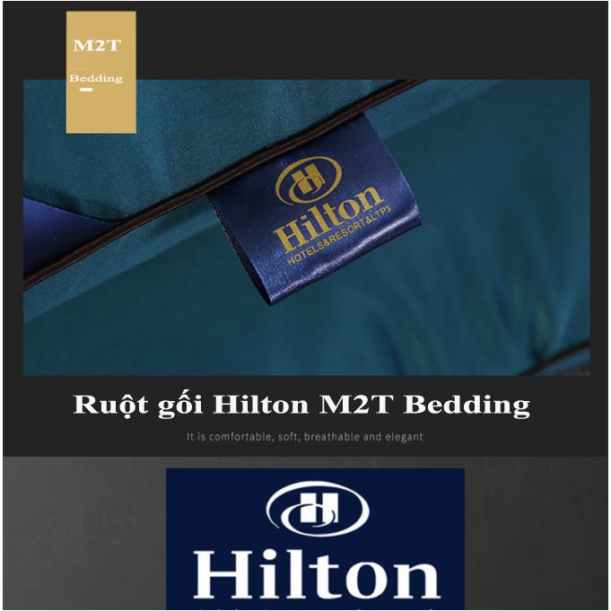 Ruột gối nằm Hilton cao cấp M2T bedding - ruột gối hơi nhập khẩu kích thước 45 x 65 cm