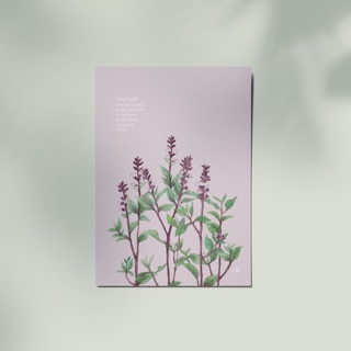 Thiệp Ôm - Húng Quế | Card - Basil