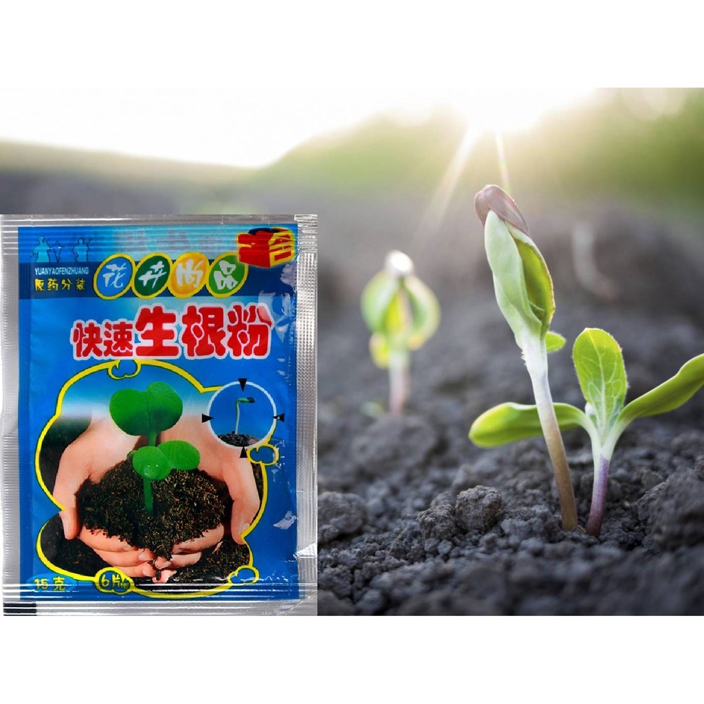 Thu ốc kích rễ và kích nảy mầm giúp hạt giống nhanh nảy mầm và ra rễ - ảnh sản phẩm 1