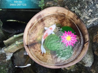 Bộ 500g Resin Vẽ Cá