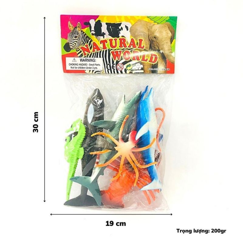 Túi động vật biển