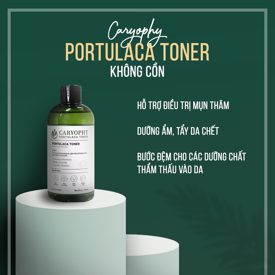 Toner Giảm Mụn Thâm Dưỡng Da Caryophy Portulaca 300ml Bản New Cho Nam/Nữ | BigBuy360 - bigbuy360.vn