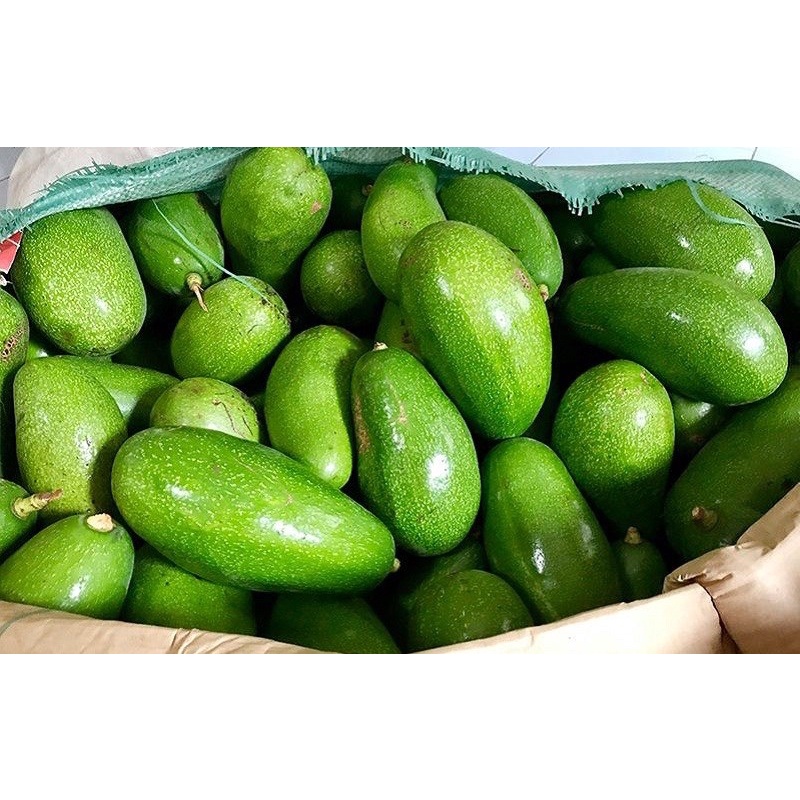 BƠ SÁP ĐĂK LĂK - SHIPNOW | BigBuy360 - bigbuy360.vn