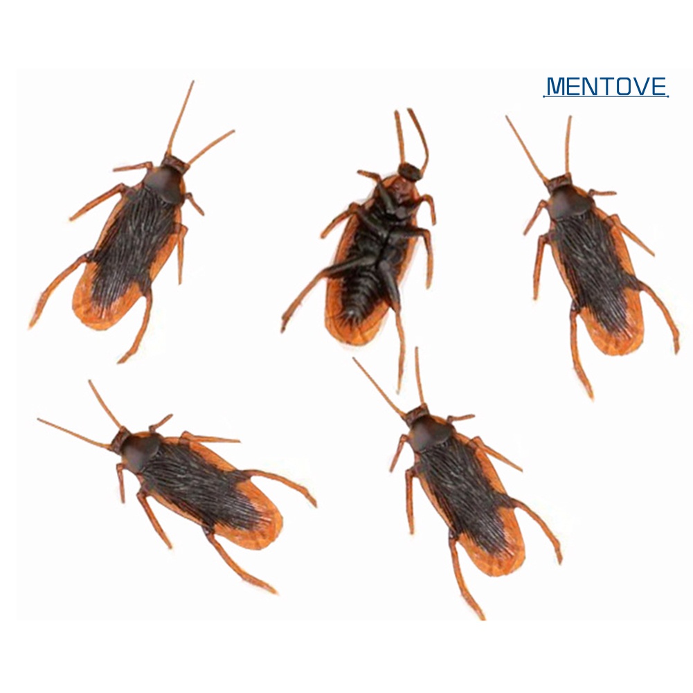 Con Gián Giả Đồ Chơi Vui Nhộn Cho Bé