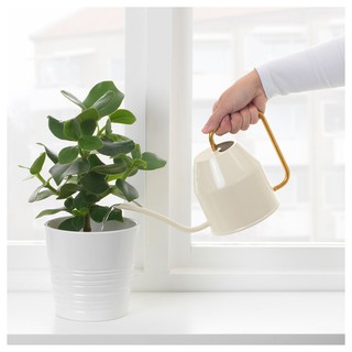Bình tưới cây thép Vattenkrasse IKEA 900ml