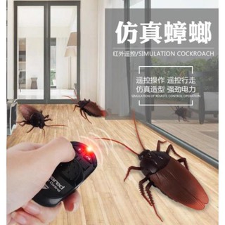 Gián Điều Khiển Từ Xa