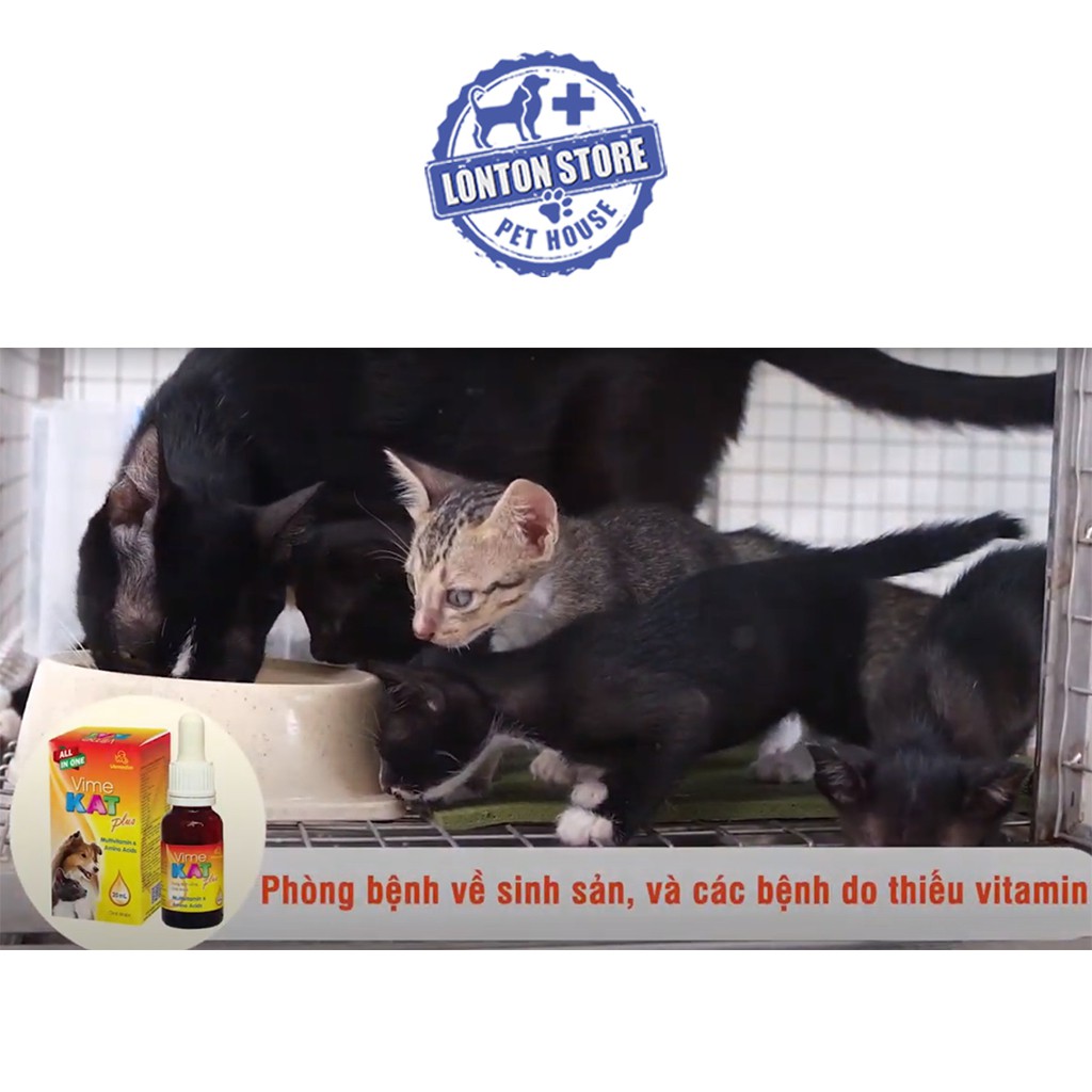 VEMEDIM Vimekat Plus Vitamin Giúp Tăng Cường Sức Khỏe Cho Chó Mèo Và Vật Nuôi  20ml - Lonton Store