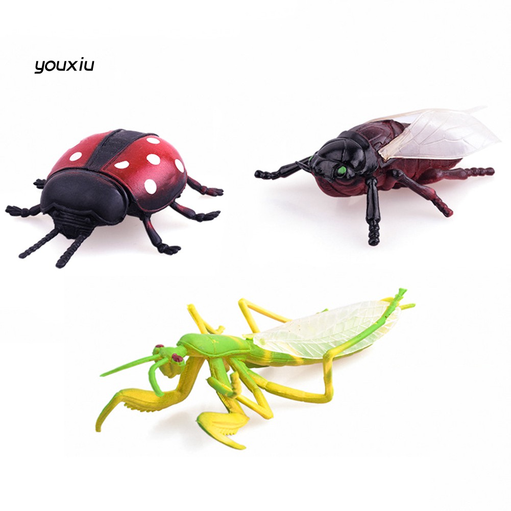 Bộ 12 Đồ Chơi Mô Hình Côn Trùng Bằng Nhựa Cho Bé