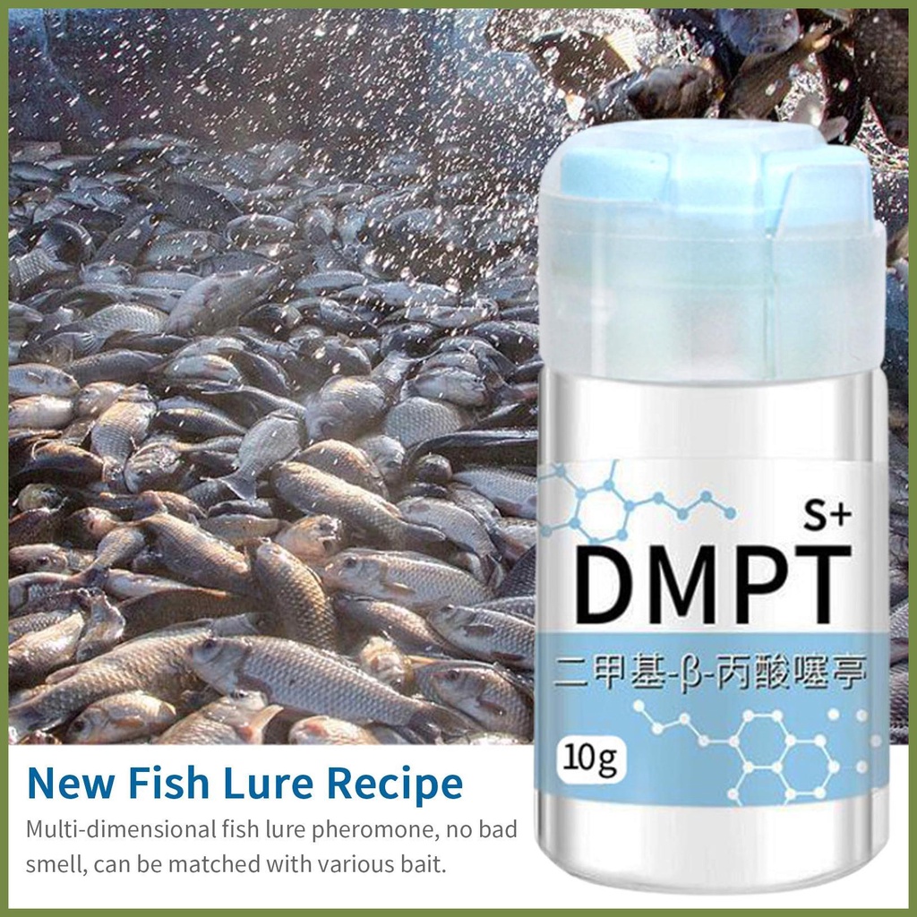 Dmtp Phấn Bắt Cá Chép Chất Lượng Cao