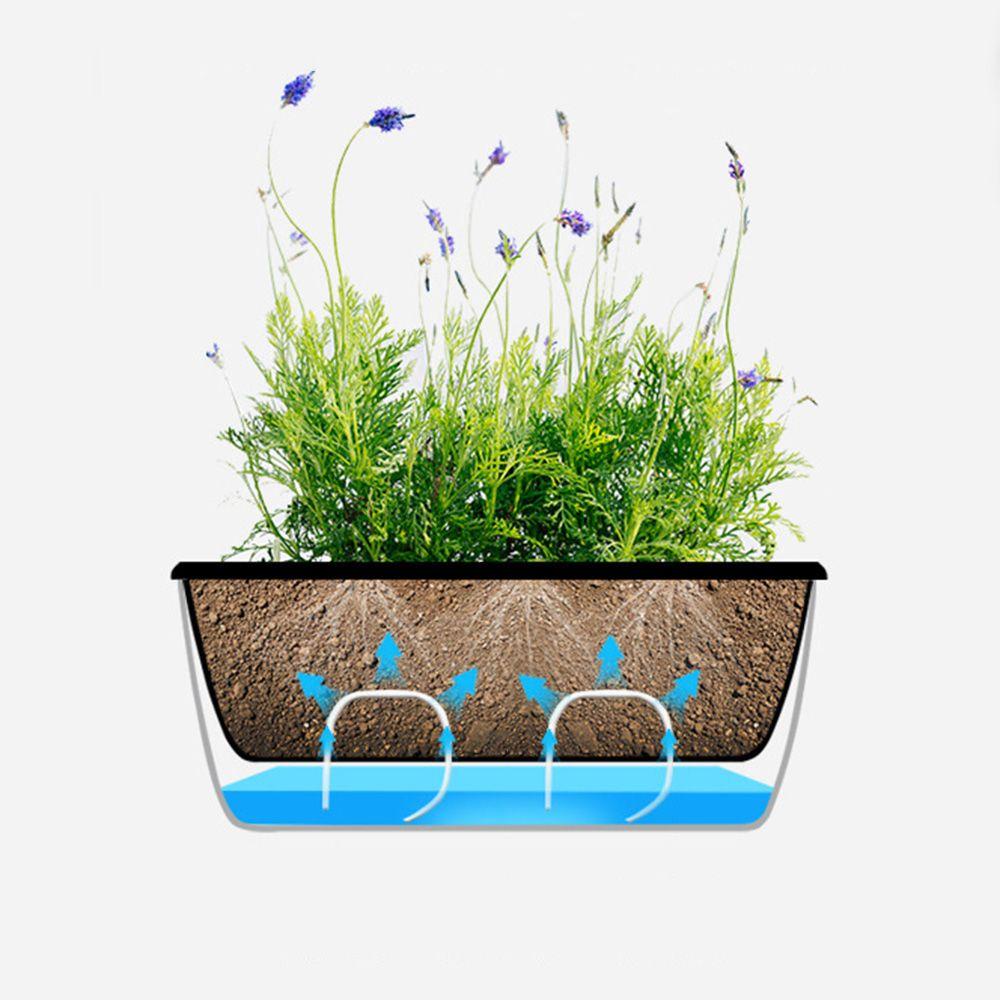 GOGOUP Chậu Trồng Cây Tự Hút Tiện Lợi