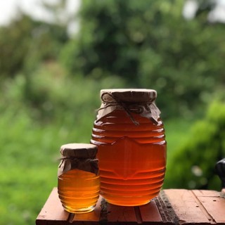 1l đac sản mật ong hoa cafe vùng đat cao nguyên đăk lăk