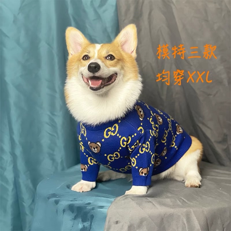 ÁO LEN GUCCl GẤU dành cho chó mèo