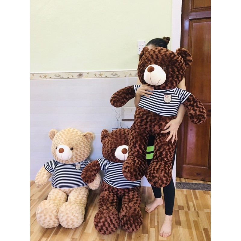 Vỏ gấu bông teddy + áo 80 cm
