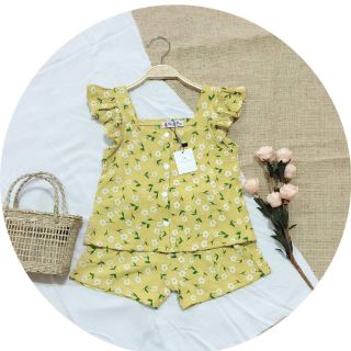 ĐŨI HOA GÂN.65K/m