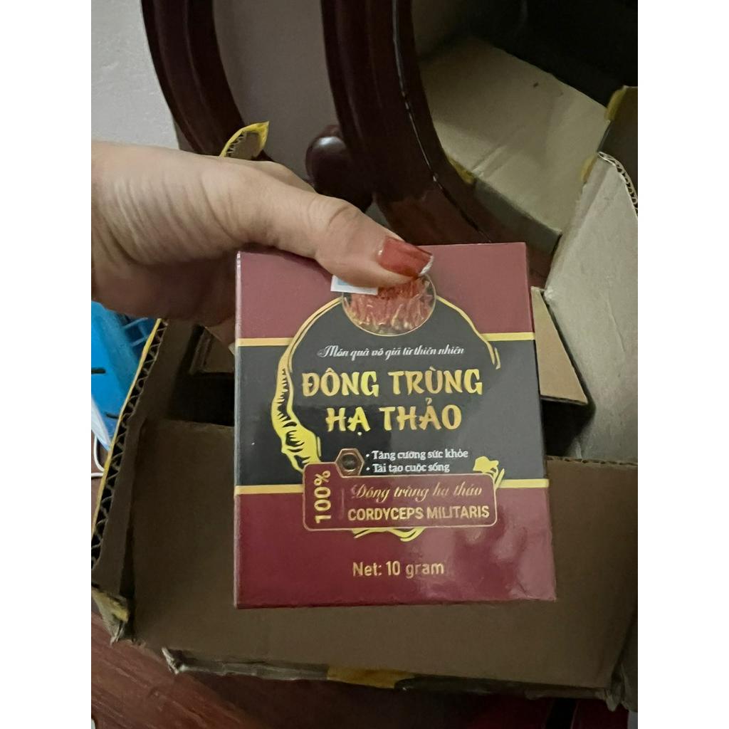 Đông Trùng Hạ Thảo LADOGA sấy thăng hoa đóng hộp 10gr và 15gr