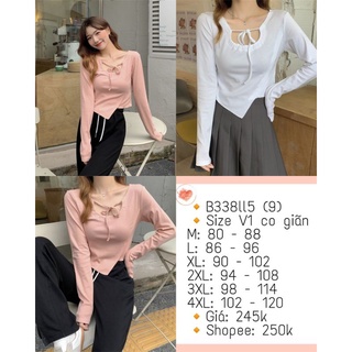 [Order] Áo Kiểu Tay Dài Bigsize