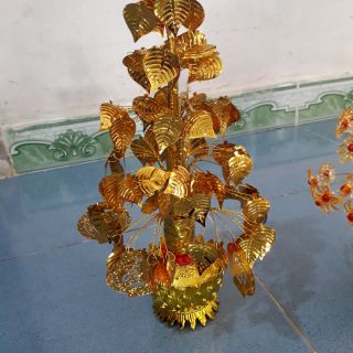 Bánh tráng